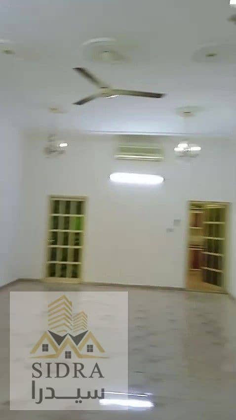 7 IMG190565. jpg