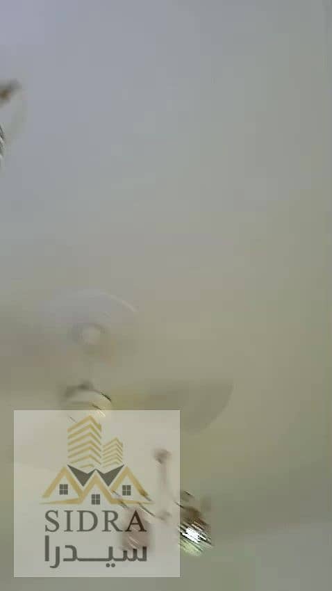 27 IMG623908. jpg