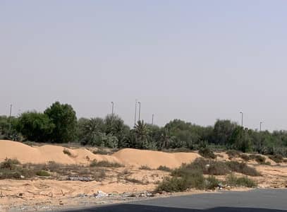 Plot for Sale in Al Alia, Ajman - WhatsApp Image 2025-07-04 at 10.43. 37_28c9596a. jpg