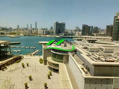 2 Bedroom Apartment for Sale in Al Reem Island, Abu Dhabi - gDf3hQDxsuZUCxxUI2Py3b5kXwbU1L91AIHNsylk. jpg