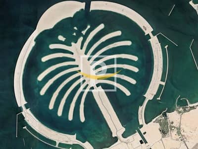 ارض سكنية  للبيع في نخلة جبل علي، دبي - ارض سكنية في سعفة M،نخلة جبل علي 75000000 درهم - 12129396
