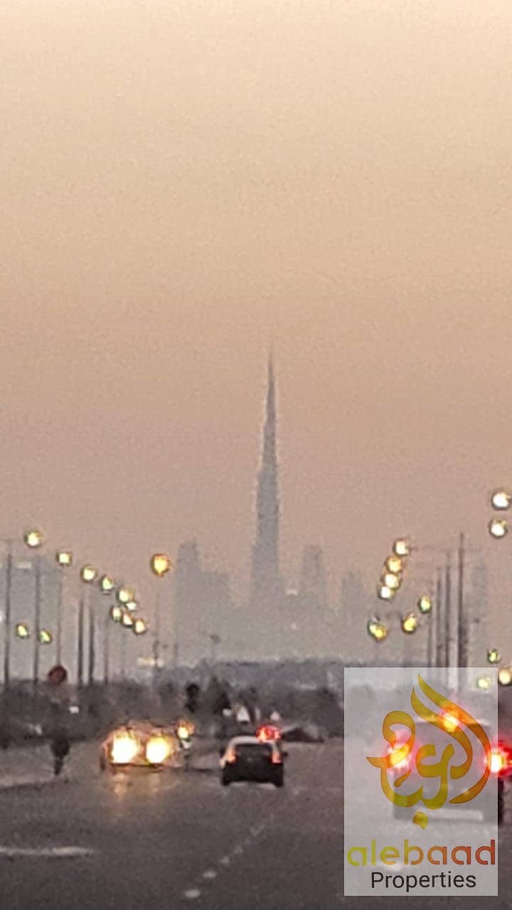 9 1000595928. jpg