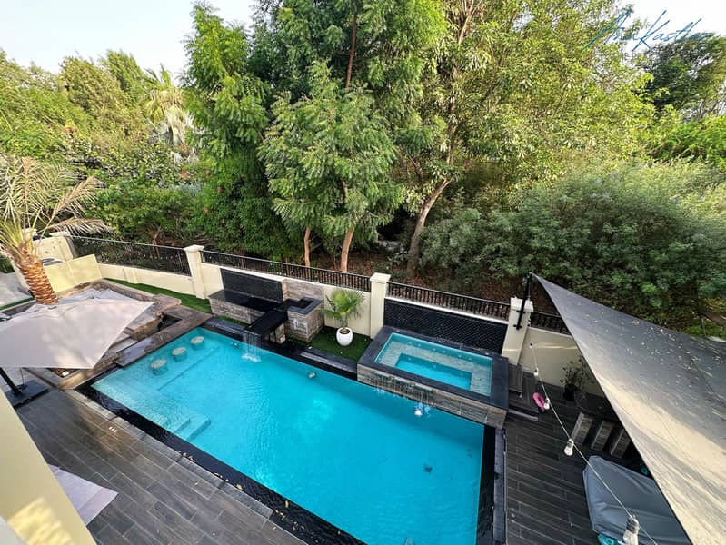 26 Pool Aaerial view. jpg