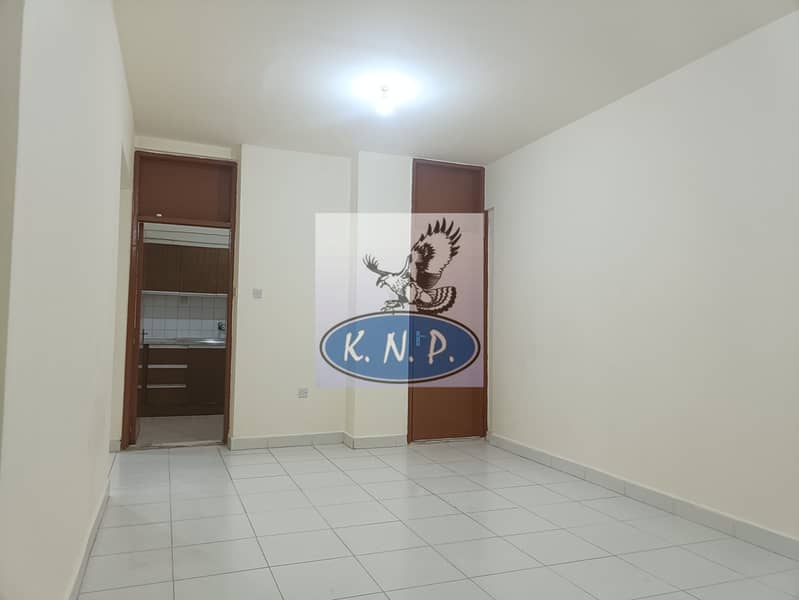 5 IMG20250705194025. jpg