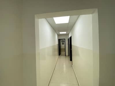 阿尔努艾米亚， 阿治曼 2 卧室公寓待租 - IMG-20250706-WA0141. jpg