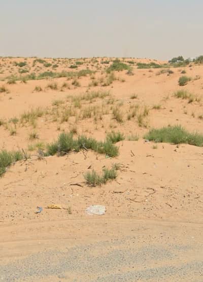 Industrial Land for Sale in Al Sajaa Industrial, Sharjah - WhatsApp Image 2025-07-05 at 5.05. 26 PM. jpeg
