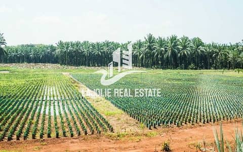 Mixed Use Land for Sale in Al Samha, Abu Dhabi - 04_07_2025-12_56_19-3594-574a2f782fae7a7418f4617234c75838. jpeg