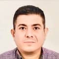 HOSAM GHAMRY