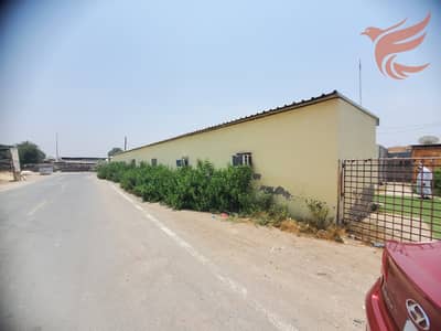 Labour Camp for Rent in Julfar, Ras Al Khaimah - IMG-20250707-WA0113. jpg