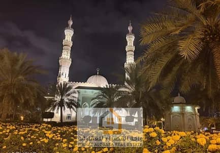 11 Bedroom Building for Sale in Al Majaz, Sharjah - WhatsApp Image 2025-07-07 at 12.02. 24 PM. jpeg