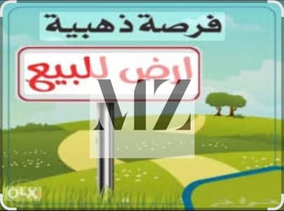 ارض سكنية  للبيع في السحمة، الشارقة - صورة واتساب بتاريخ 2025-07-07 في 11.47. 20_164c88a4. jpg