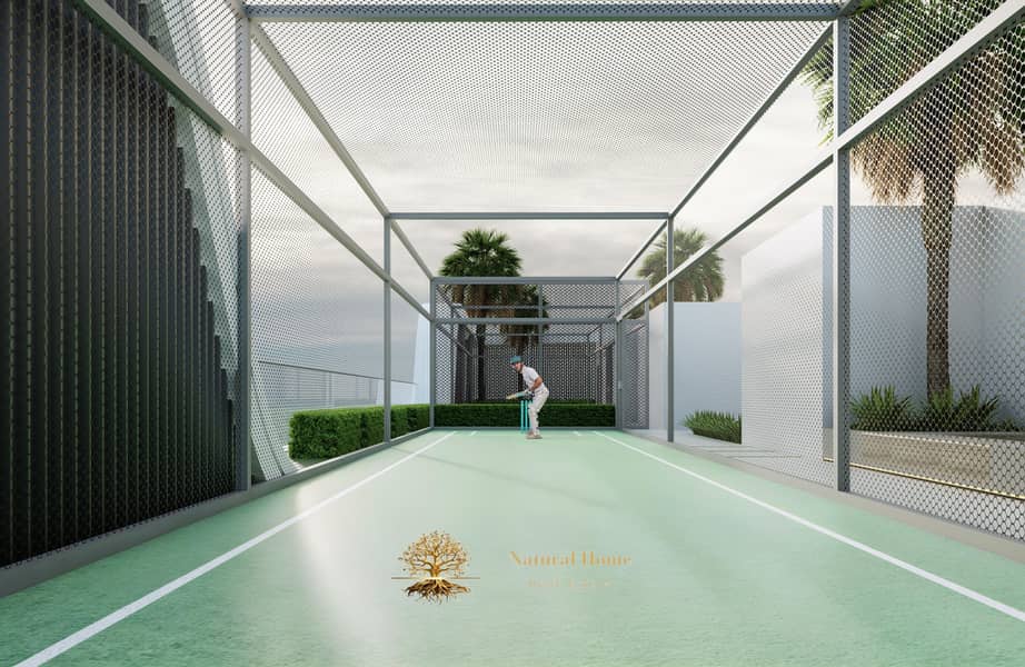 10 Cricket pitch. png
