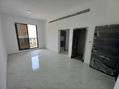 شقة 2 غرفة نوم للايجار في الروضة، عجمان - e338f5a3-2cd1-41ea-ad51-80cd1b6e77f8. jpg