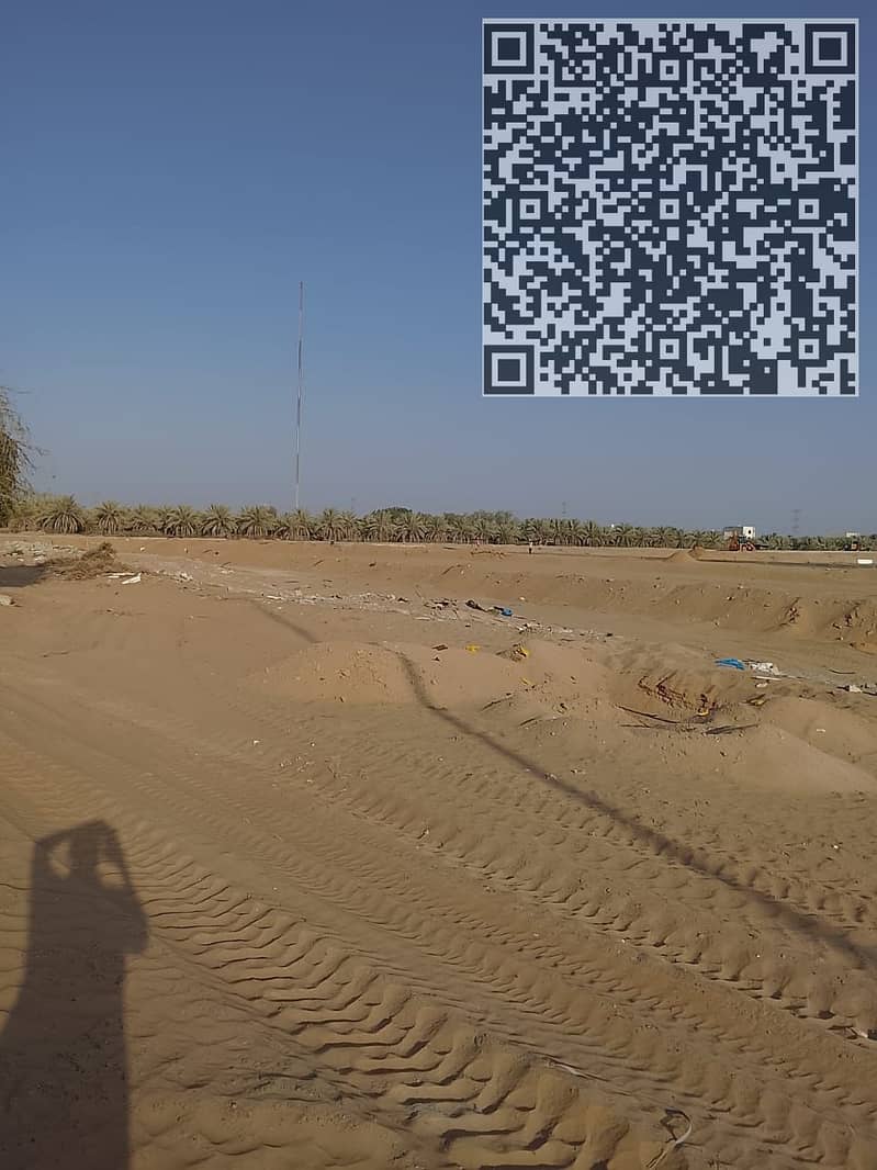 3 WhatsApp Image 2025-06-19 at 12.30. 55 PM. jpeg