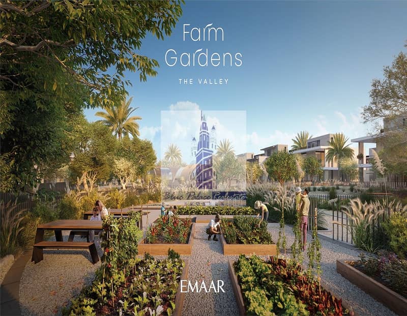 11 FARM GARDENS_THE_VALLEY_EMAAR8. jpg