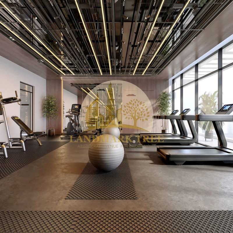 15 Arista One - Gym. jpeg