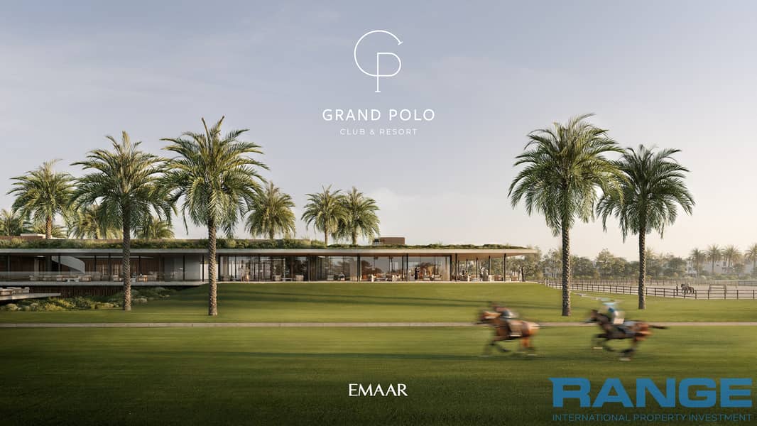 3 GRAND_POLO_IMAGE2. jpg