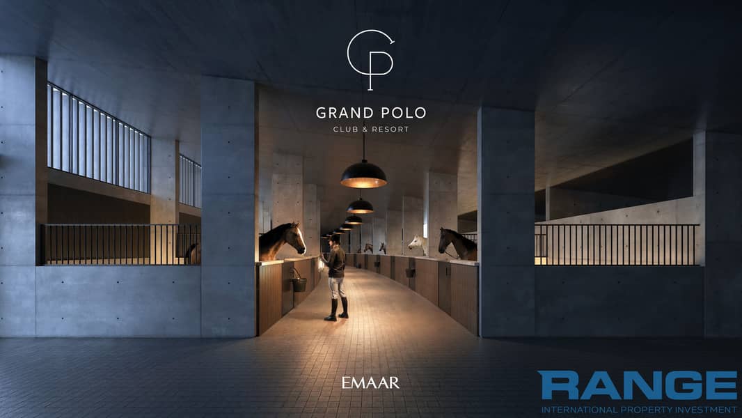 19 GRAND_POLO_IMAGE18. jpg
