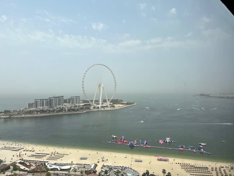 IMG_8041. jpg IMG_8041. jpg