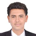 Moaz alsaied