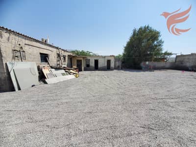 Warehouse para en Alquiler en Al Rams, Ras Al Khaimah - IMG-20250707-WA0160. jpg