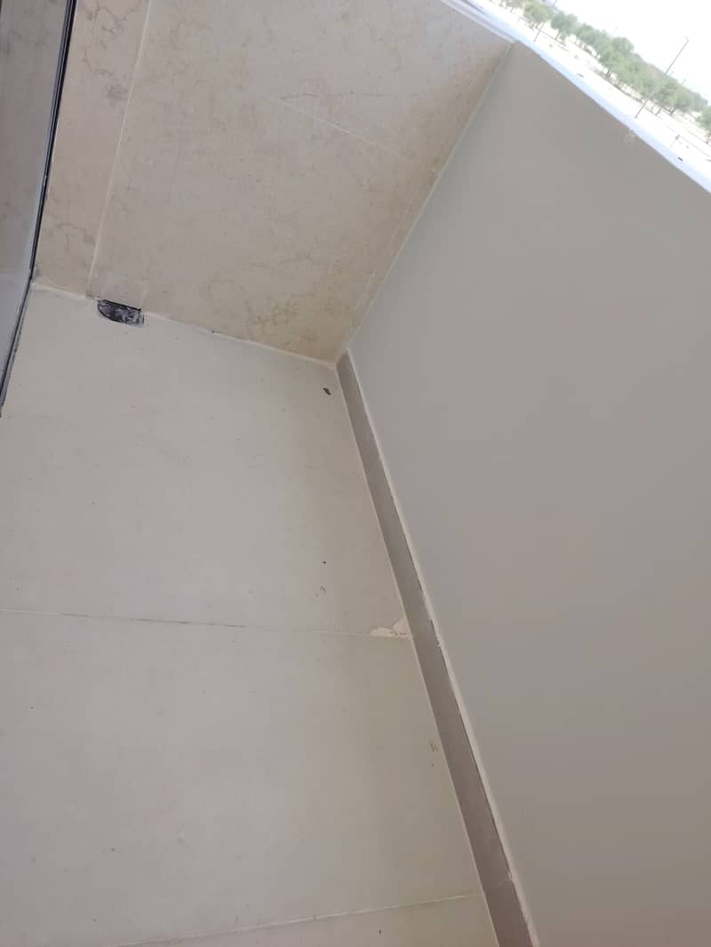 5 1000276481. jpg