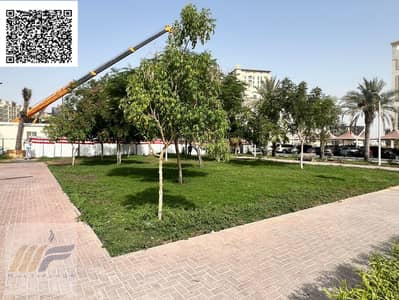 1 Bedroom Flat for Sale in Al Yasmeen, Ajman - 588a02b7-6004-4bee-9194-44a42712bb30. jpg