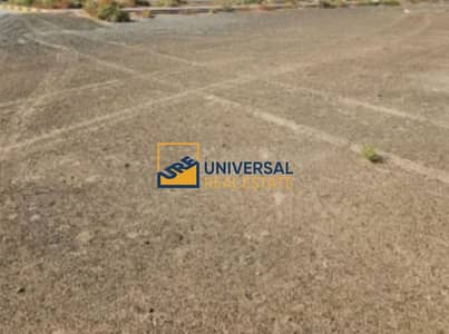 Industrial Land for Sale in Mussafah, Abu Dhabi - Polish_20240528_134434024. png