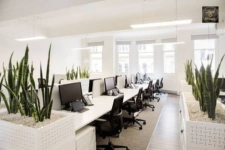 Офис в аренду в Аль Рашидия, Аджман - Now Careers Offices - Sydney _ Office Snapshots. jpeg