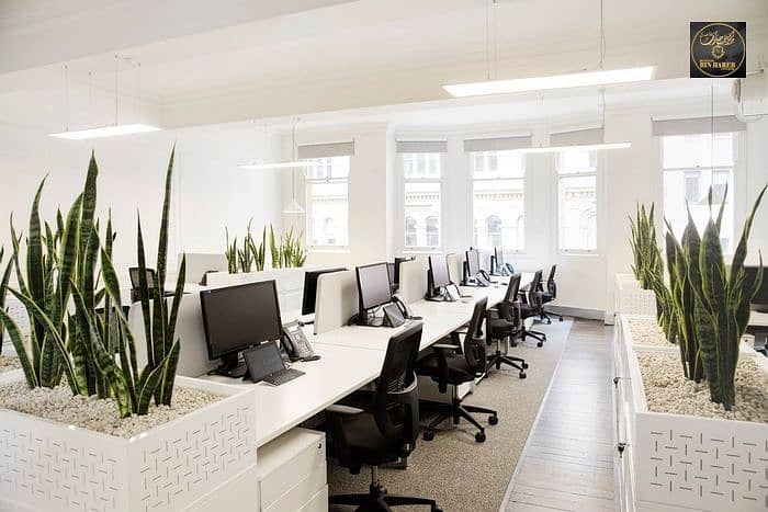 Now Careers Offices - Sydney _ Office Snapshots. jpeg