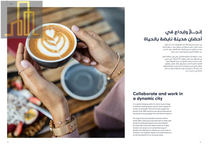 3 Safa 1 BROCHURE-9-1-2025-Digital_page-0008. jpg
