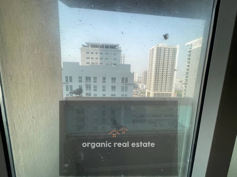 7 IMG_2993. jpeg