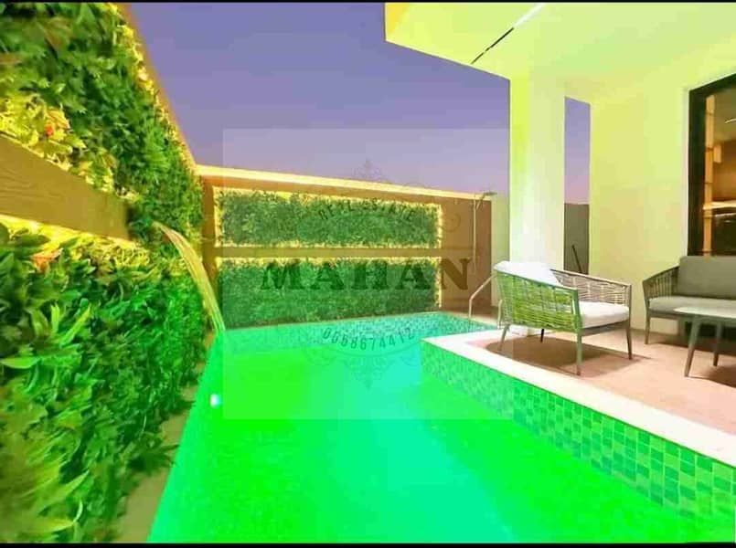 5 1000355242. jpg