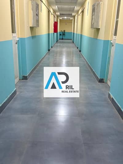 Office for Rent in Mussafah, Abu Dhabi - WhatsApp Image 2025-07-02 at 9.57. 42 AM. jpeg