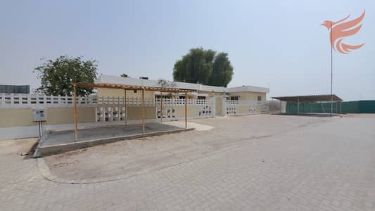 库扎姆区， 拉斯海玛 4 卧室别墅待租 - WhatsApp Image 2025-07-10 at 12.25. 44. jpeg