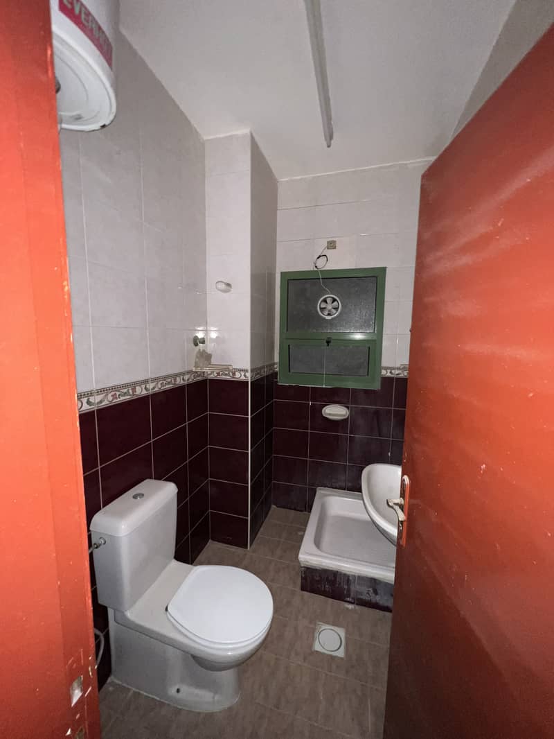 3 IMG_7310. jpeg