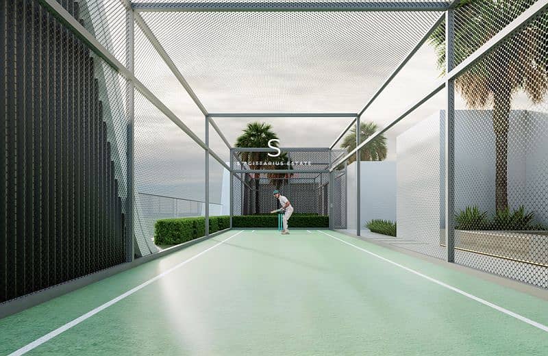 8 Cricket pitch. png