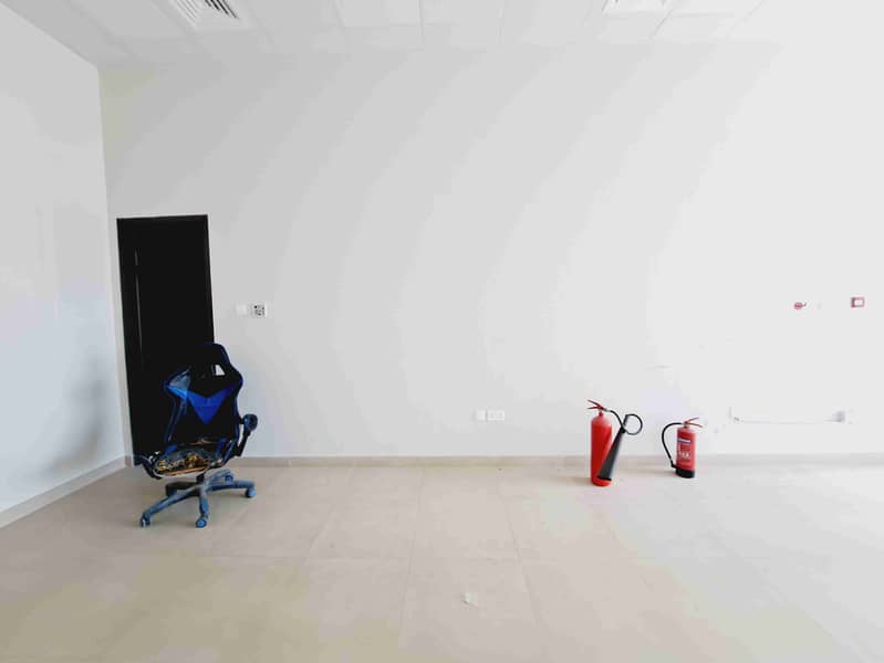 3 20250325_141745. jpg