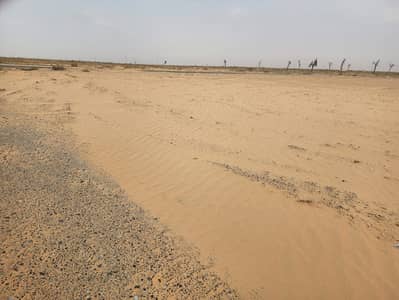ارض سكنية  للبيع في البليدة، الشارقة - 96de19c3-ede5-4b03-9dec-d27b97b9d7c0. jpeg