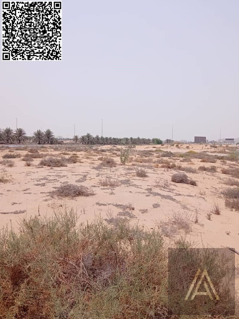 4 WhatsApp Image 2025-07-12 at 11.55. 31 AM. jpeg