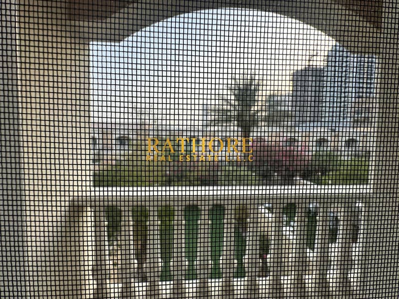 11 WhatsApp Image 2025-07-12 at 4.20. 35 PM. jpeg