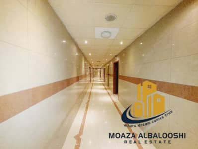2 Bedroom Apartment for Rent in Muwaileh Commercial, Sharjah - 20241119_172840. jpg