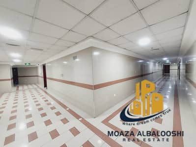 1 Bedroom Apartment for Rent in Muwaileh Commercial, Sharjah - 20241207_131526. jpg