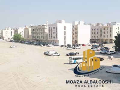 فلیٹ 2 غرفة نوم للايجار في الجادة، الشارقة - 20241114_120319. jpg