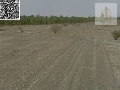 ارض سكنية  للبيع في المنامة، عجمان - 0ec07499-2245-4ccd-932c-12533b4493ec. jpeg