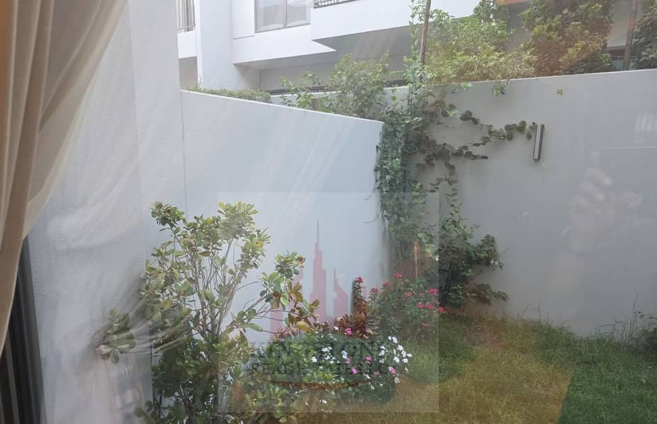 5 garden1. jpg