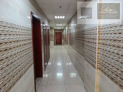 Studio for Rent in Al Alia, Ajman - IMG-20250712-WA0037. jpg