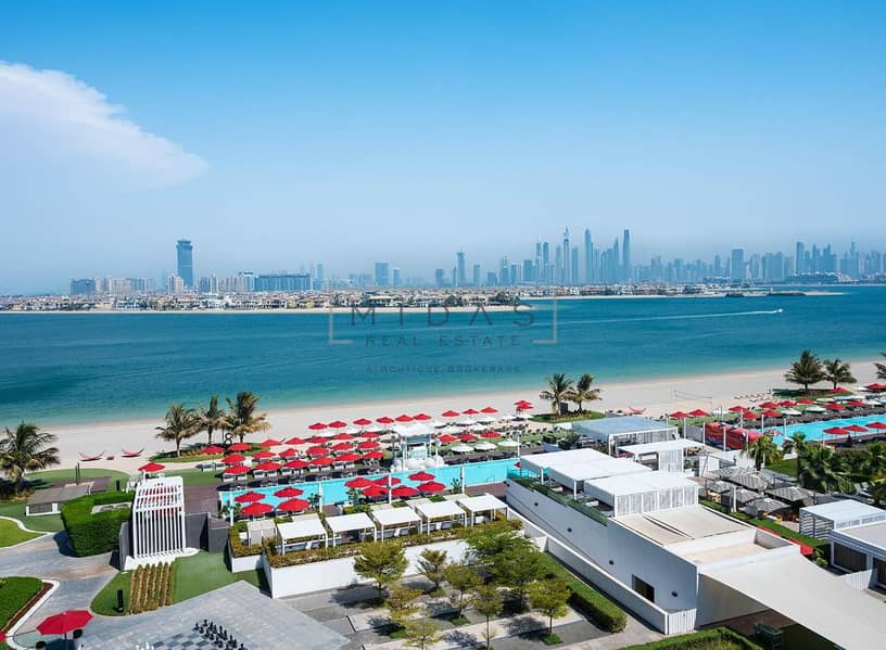 16 pool, palm skyline view. png