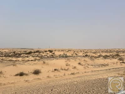 ارض سكنية  للبيع في روضة السدر، الشارقة - IMG-20250703-WA0025. jpg