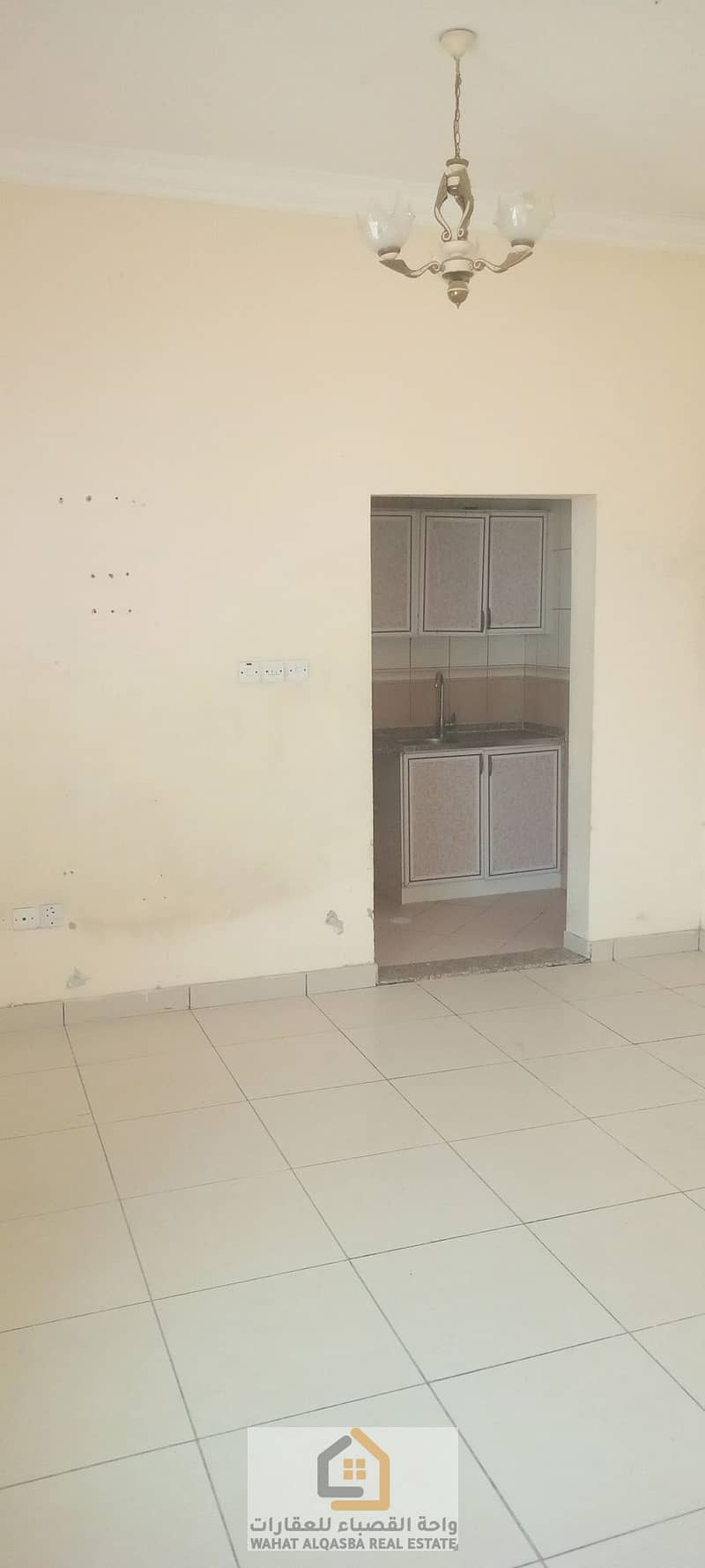 4 ٢٠٢٥٠٧١٣_١٥٠٤٤٧. jpg